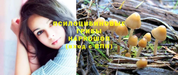 стаф Яранск