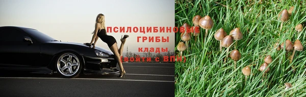 трава Янаул