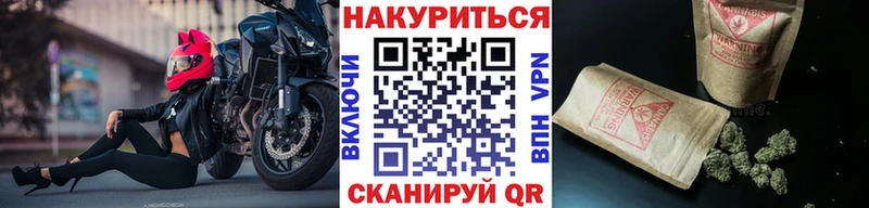 Марихуана семена Купить где Фатеж